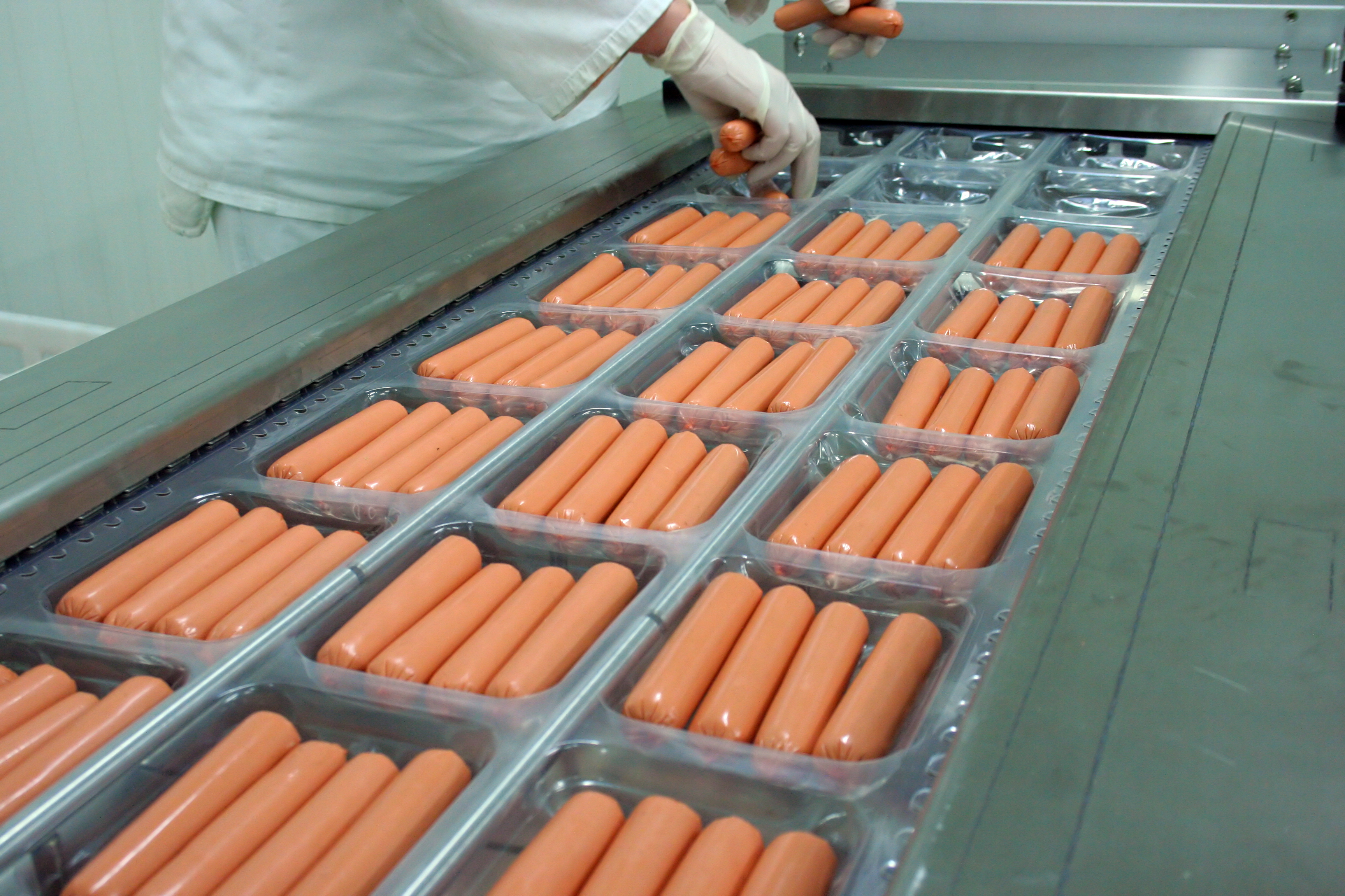 Weenies are prepared for packing in factory